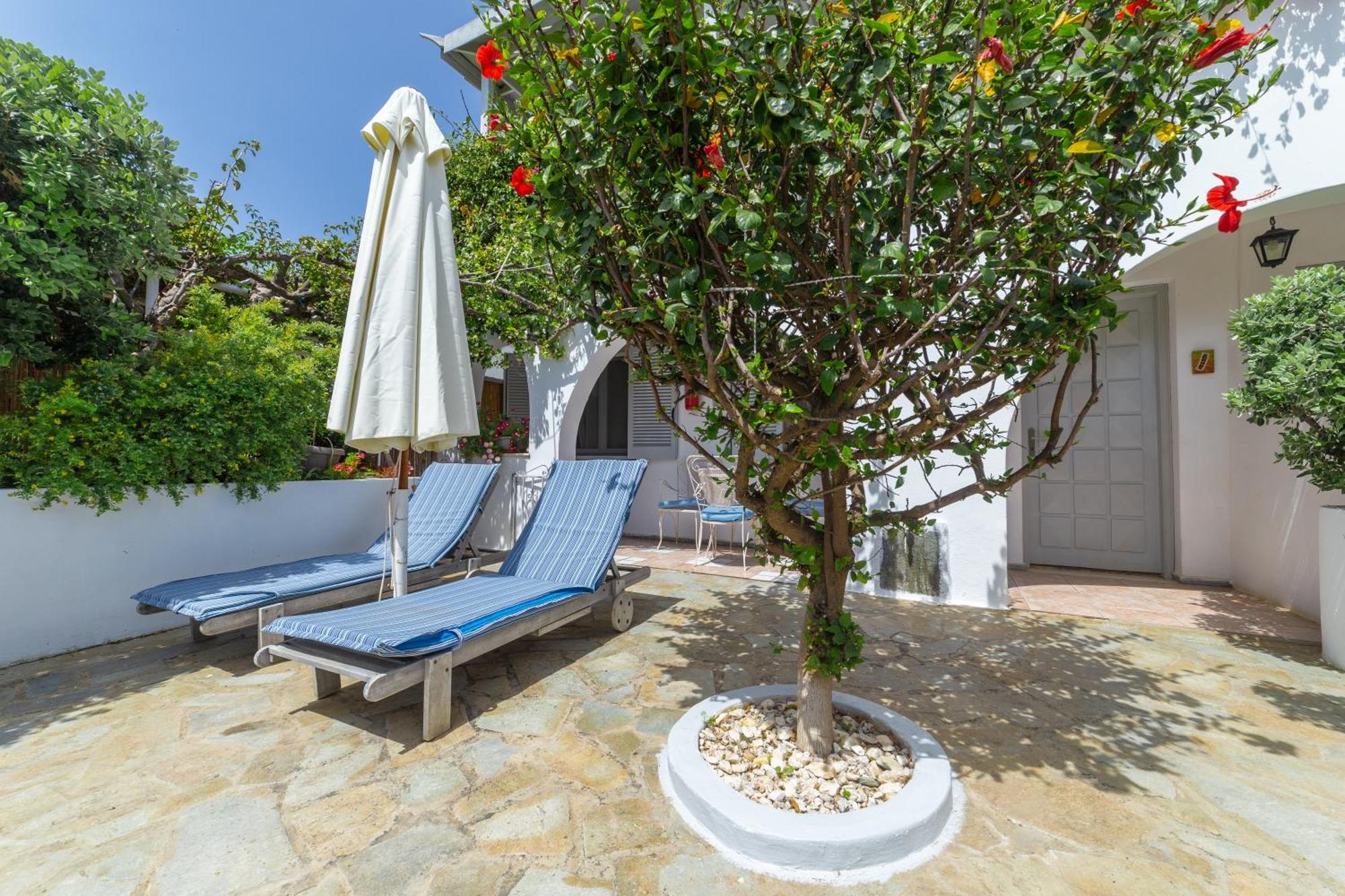 Villa Arni Andros - Βίλα Αρνη Batsi  Exterior foto
