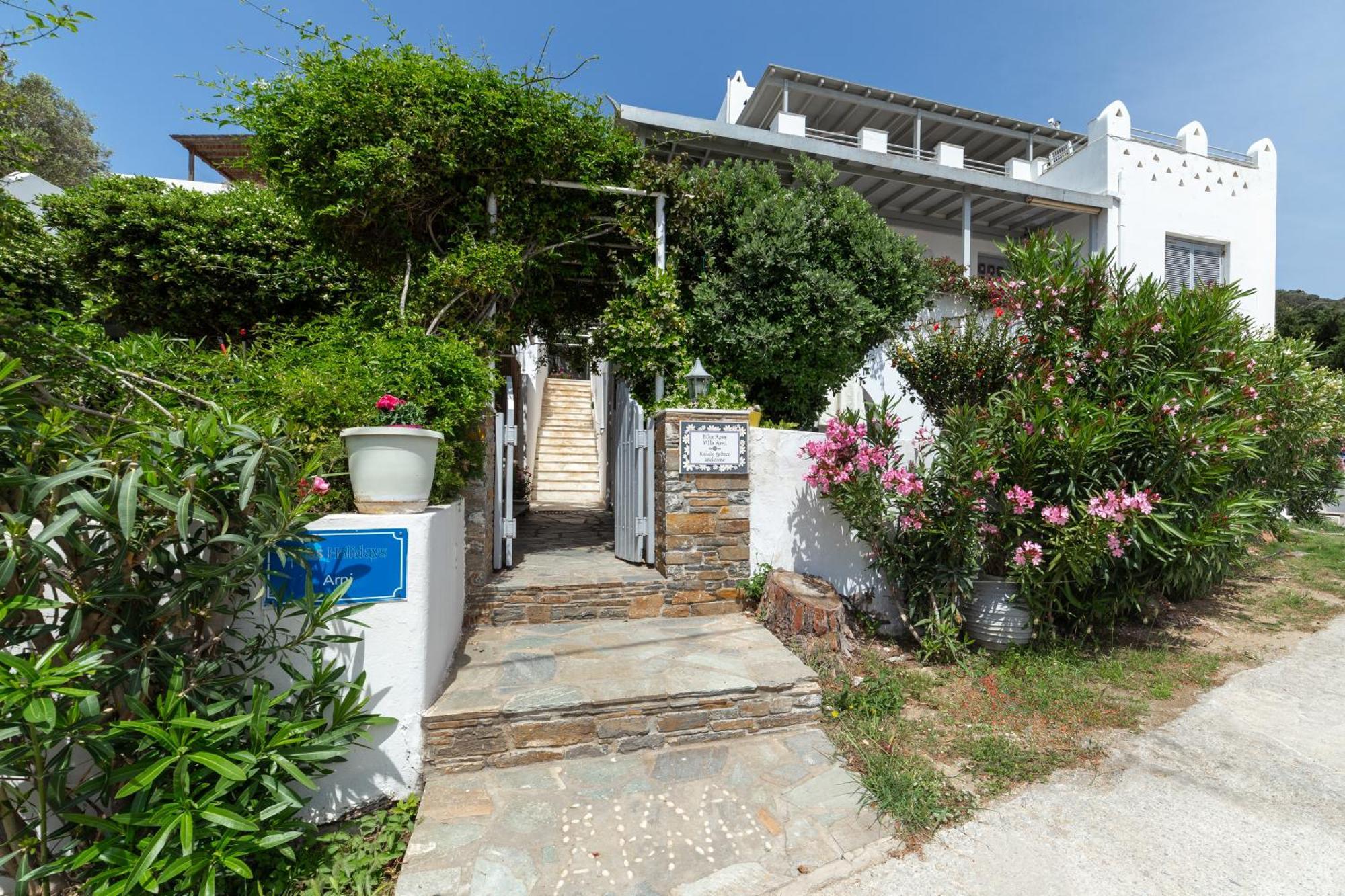 Villa Arni Andros - Βίλα Αρνη Batsi  Exterior foto